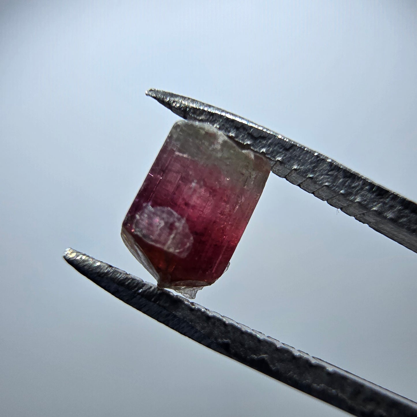 Seltener Elbait Turmalin Kristall, grün rosa Minas Gerais, Brasilien 7*5*4mm
