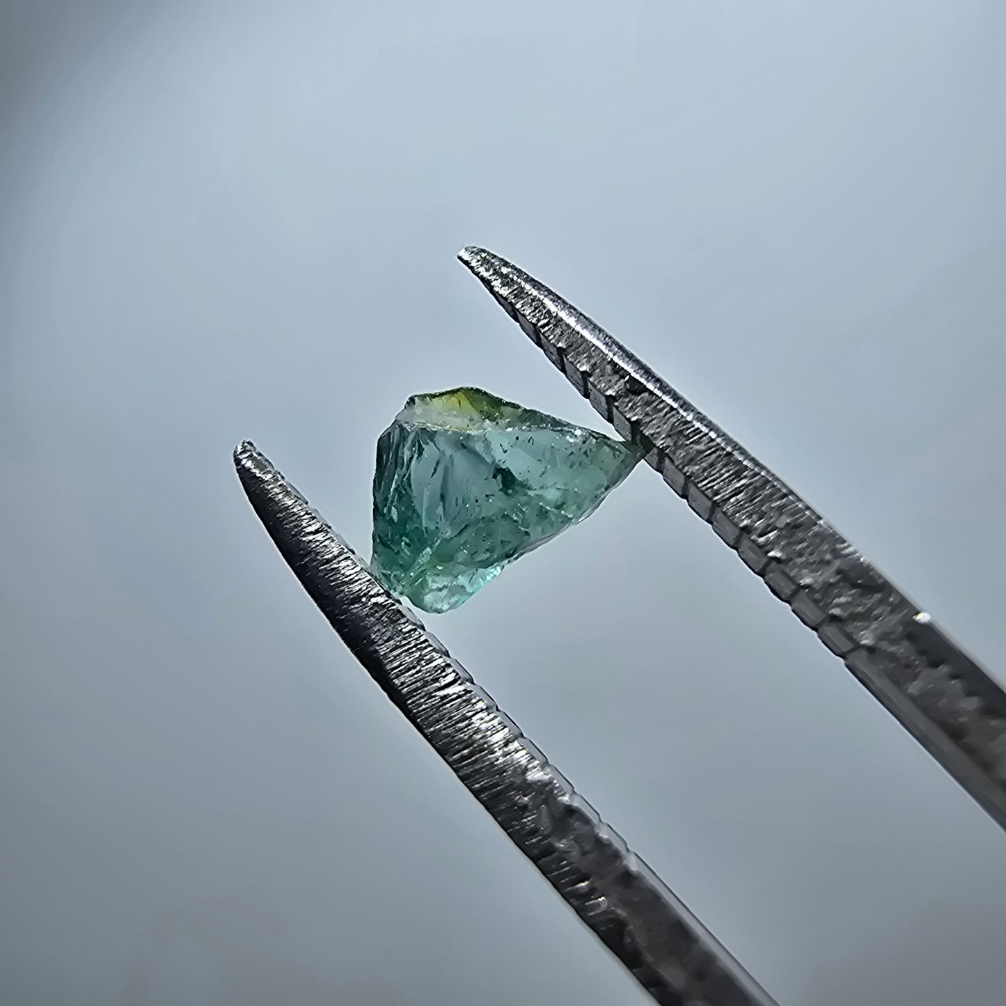 Cristal de tourmaline verdélite rare, vert Minas Gerais, Brésil #7979
