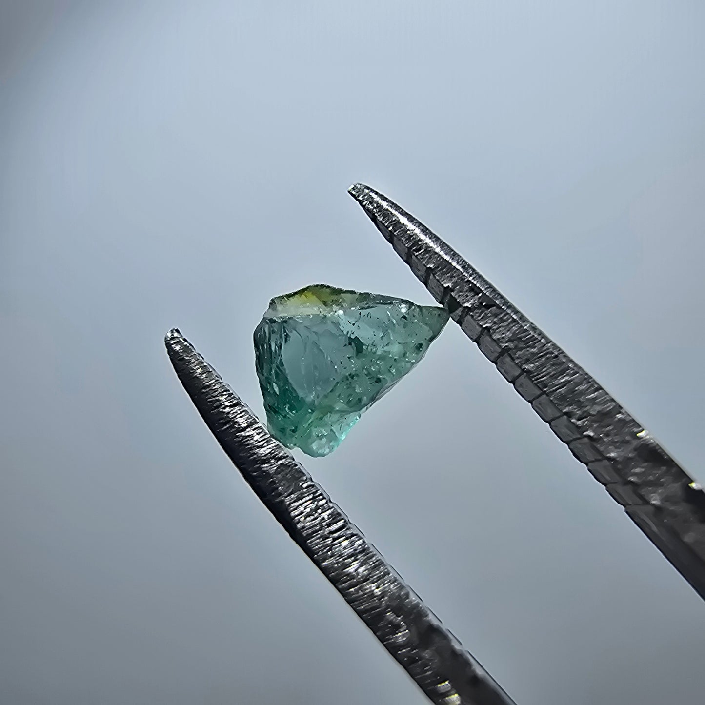Cristal de tourmaline verdélite rare, vert Minas Gerais, Brésil #7979