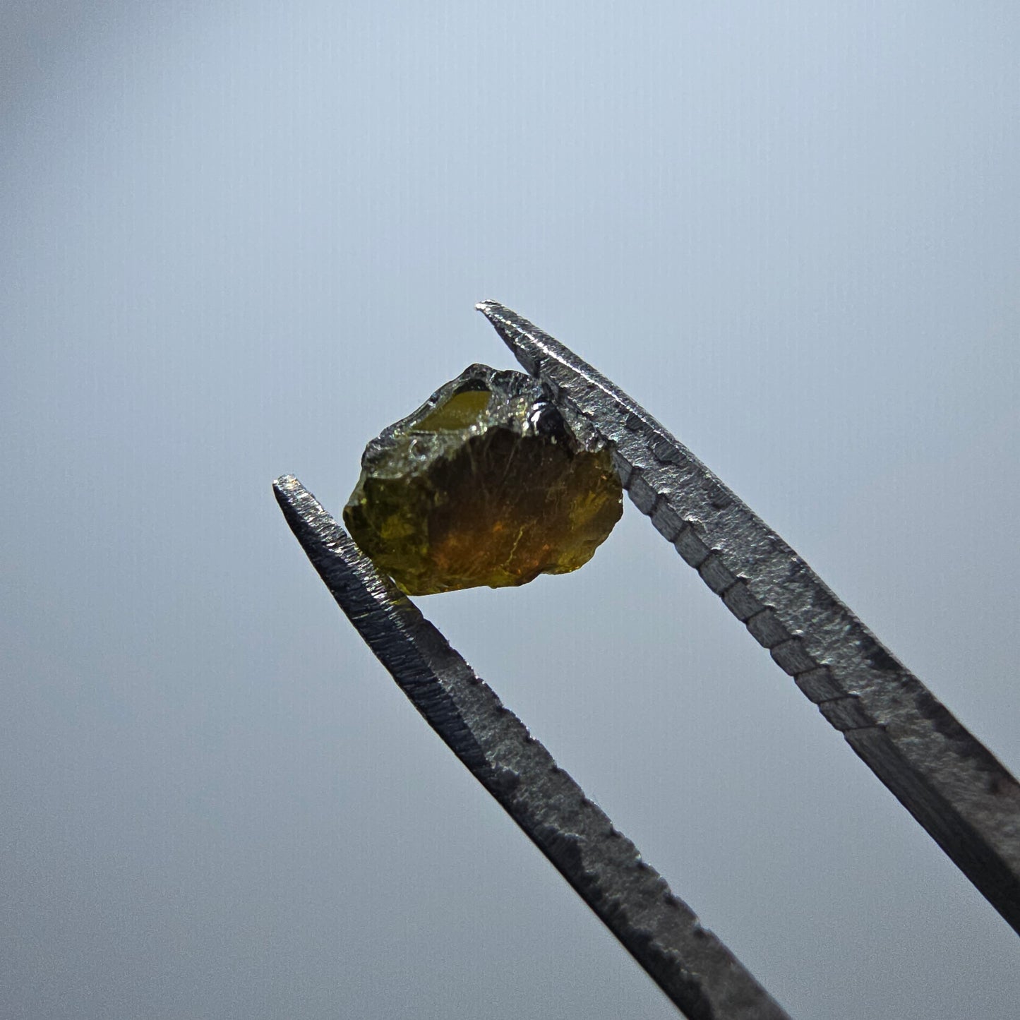 Cristal de tourmaline verdélite rare, vert Minas Gerais, Brésil #7980