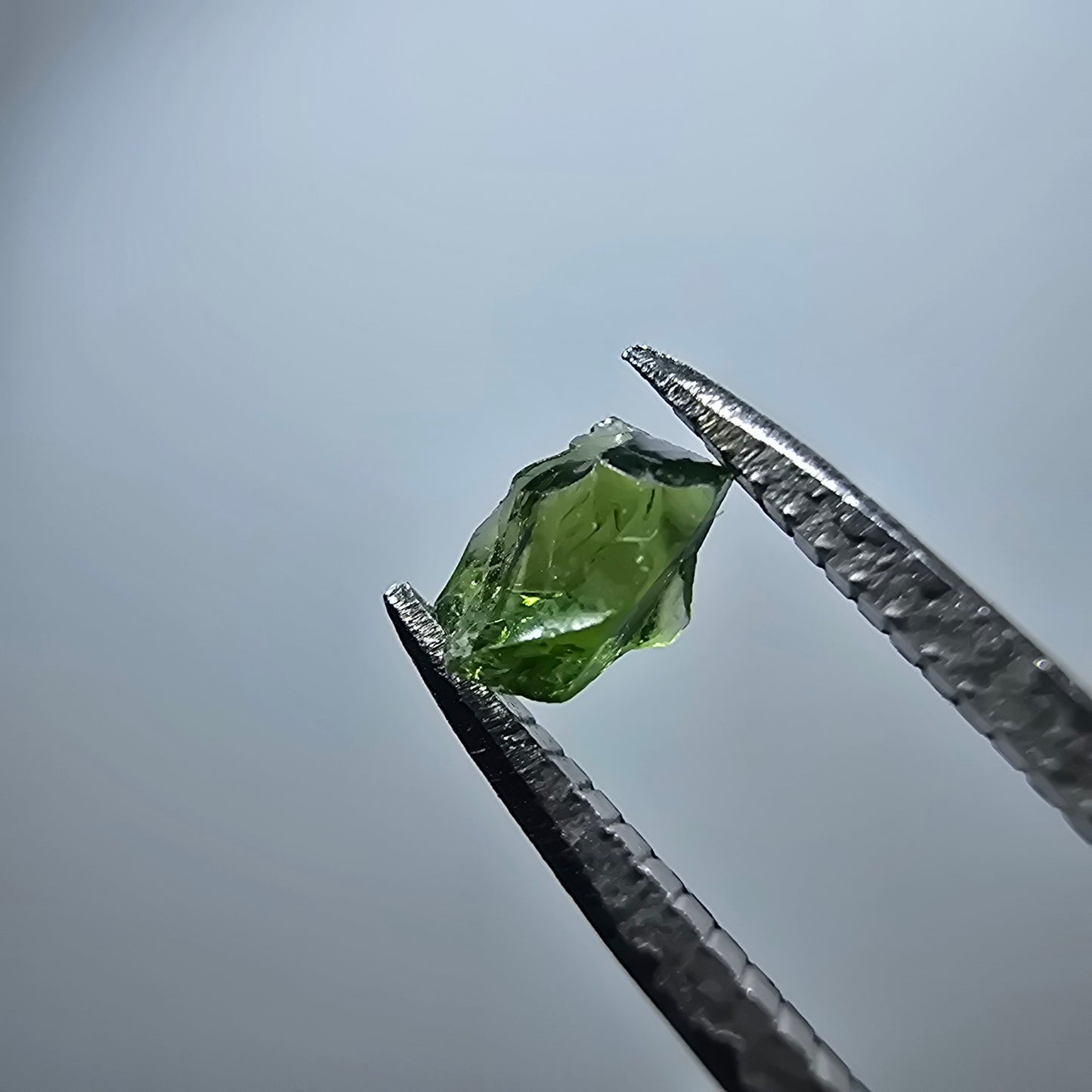 Cristal de tourmaline verdélite rare, vert Minas Gerais, Brésil #7981