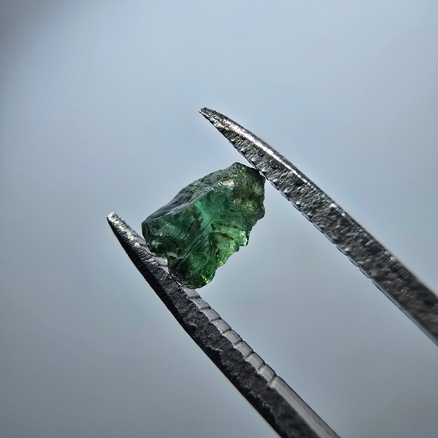 Cristal de tourmaline verdélite rare, vert Minas Gerais, Brésil #7982