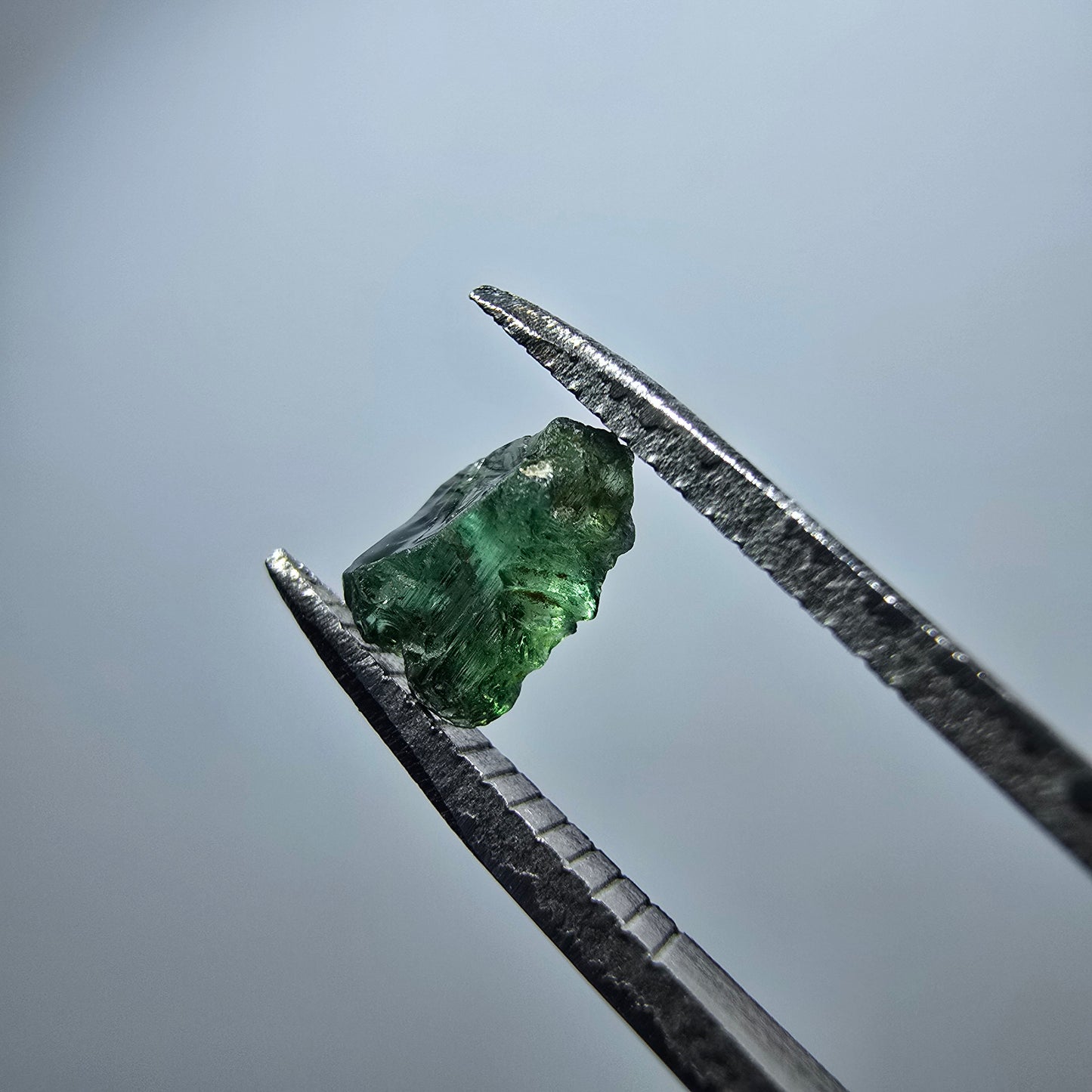 Cristal de tourmaline verdélite rare, vert Minas Gerais, Brésil #7982