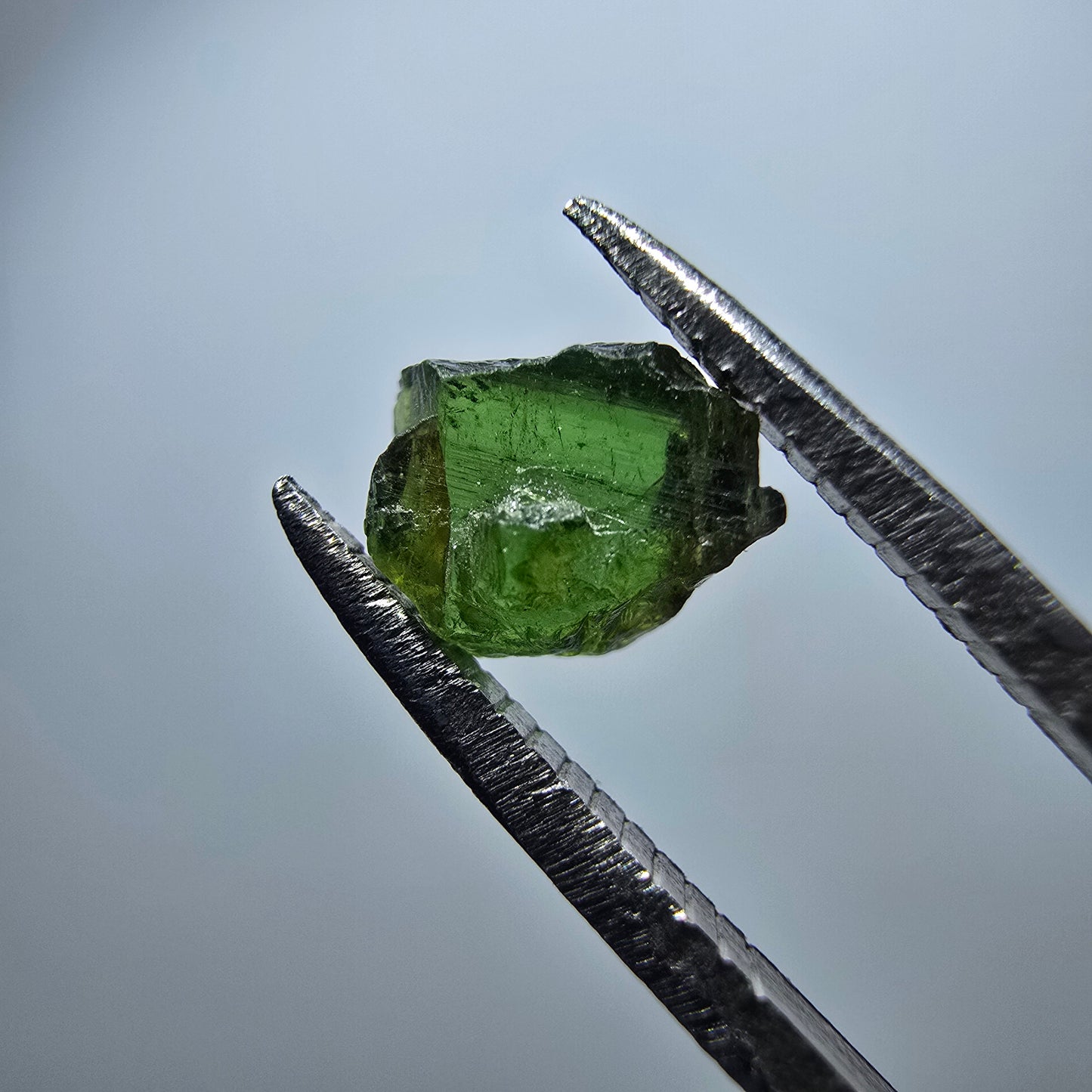 Cristal de tourmaline verdélite rare, vert Minas Gerais, Brésil #7985