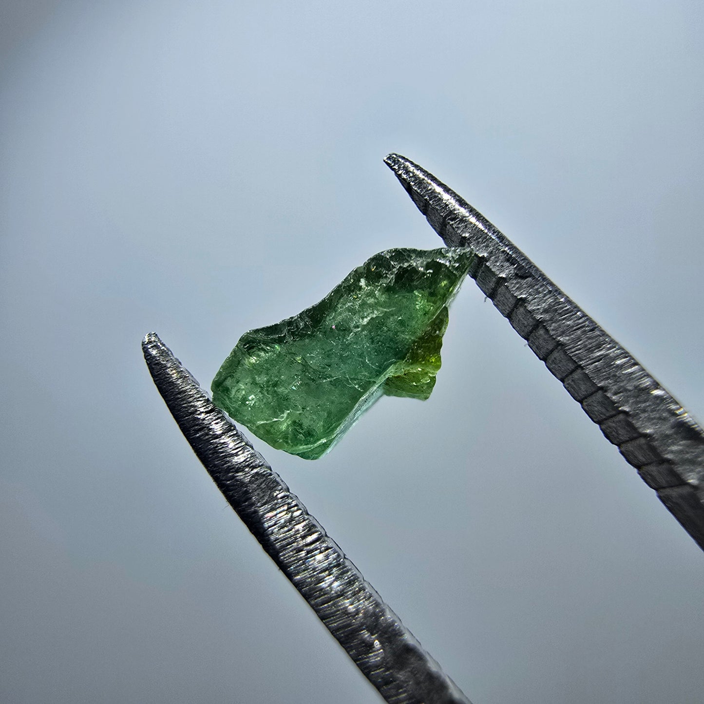 Cristal de tourmaline verdélite rare, vert Minas Gerais, Brésil #7989