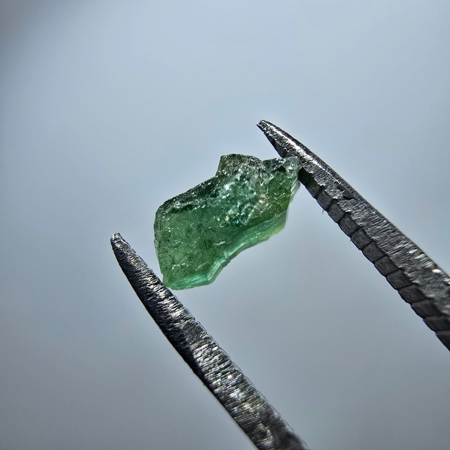 Cristal de tourmaline verdélite rare, vert Minas Gerais, Brésil #7989