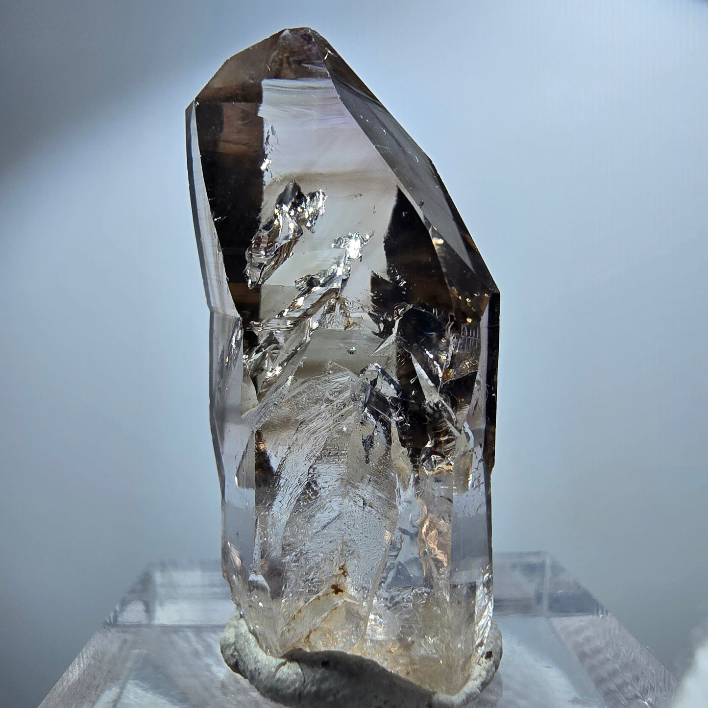 Pointe de sceptre en quartz fumé fantôme transparent, Goboboseb, Namibie, 32 x 15 x 11 mm