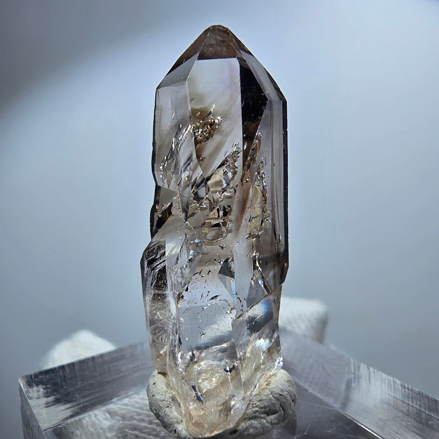 Pointe de sceptre en quartz fumé fantôme transparent, Goboboseb, Namibie, 32 x 15 x 11 mm