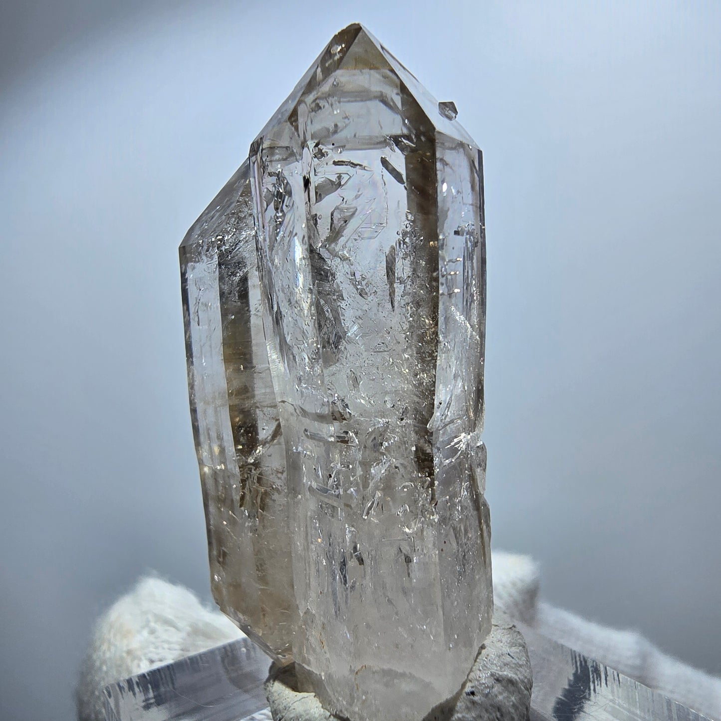 Sceptre Enhydro Phantom Smoky Quartz DT, 2x Bubble Goboboseb, Namibie 42*29*17mm