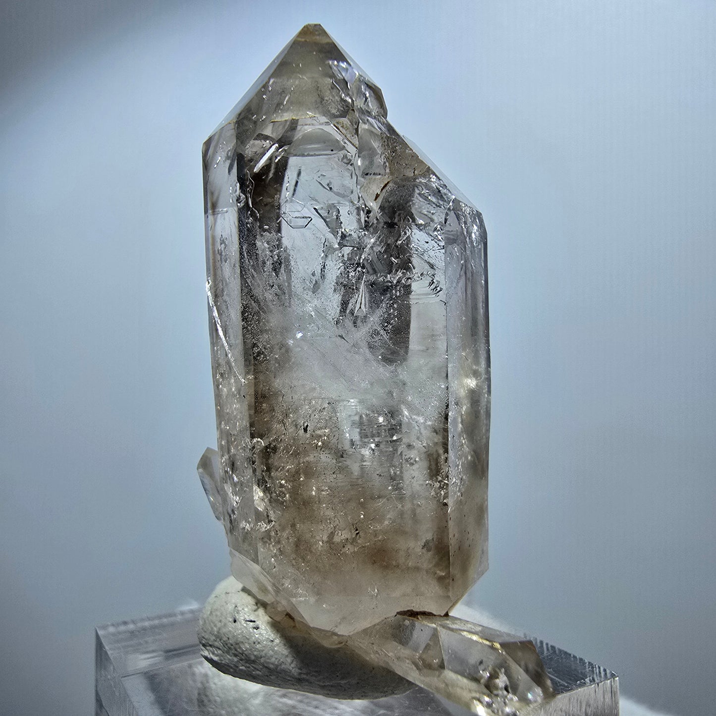Sceptre Enhydro Phantom Smoky Quartz DT, 2x Bubble Goboboseb, Namibie 42*29*17mm