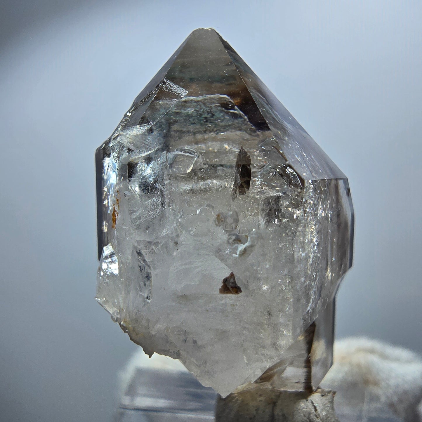 Sceptre Enhydro Phantom Smoky Quartz DT, 1x Bubble Goboboseb, Namibie 36*21*17mm