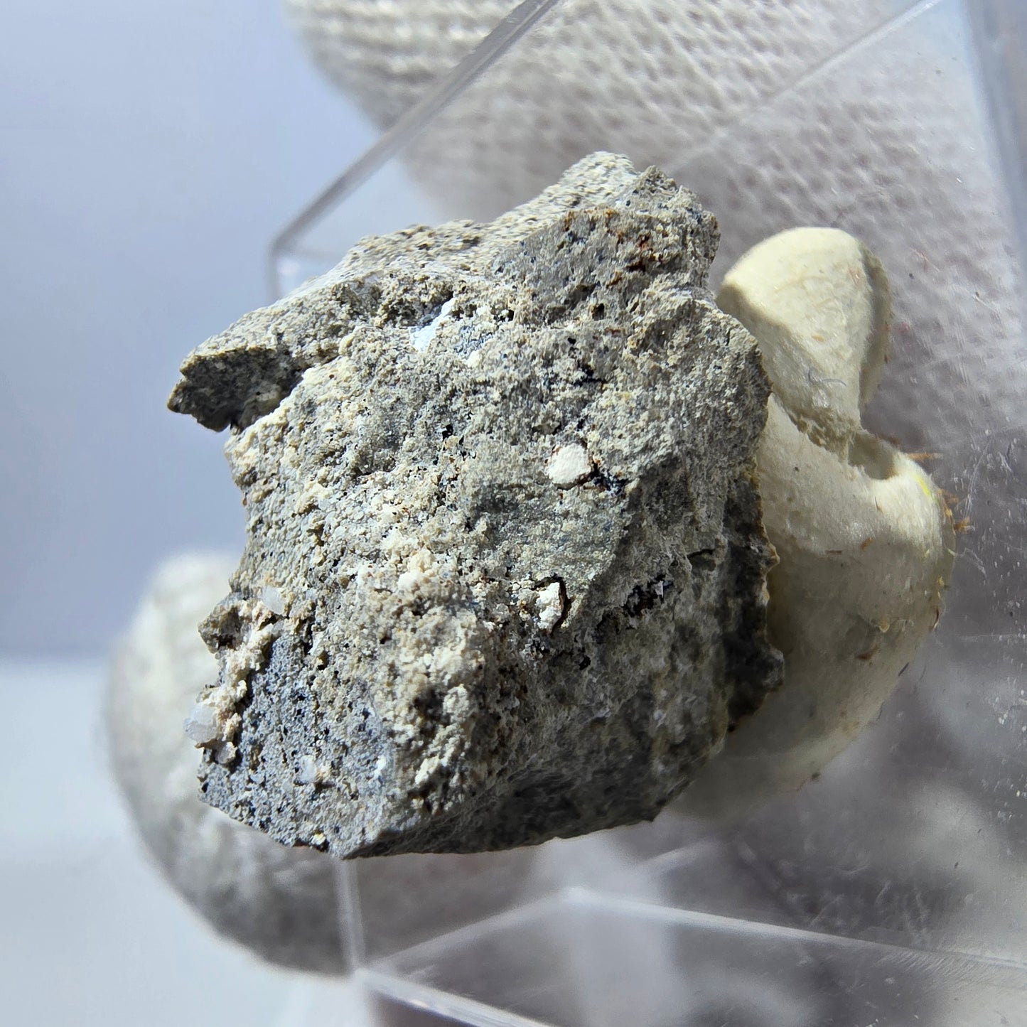 Collection de minéraux Micromount TOP Allemagne - 8 pièces Allemagne #8058