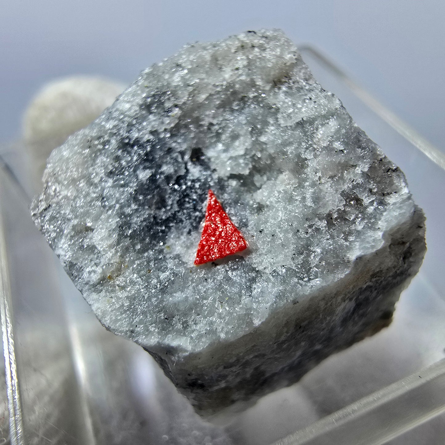 Collection de minéraux Micromount TOP Allemagne - 8 pièces Allemagne #8062