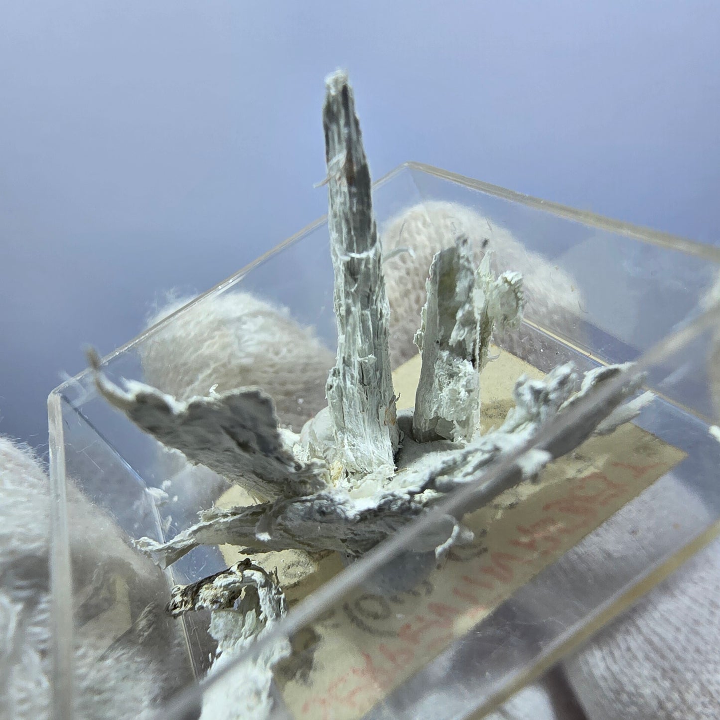 TOP Micromount Mineralien Sammlung Deutschland - 8 Stück Deutschland #8068