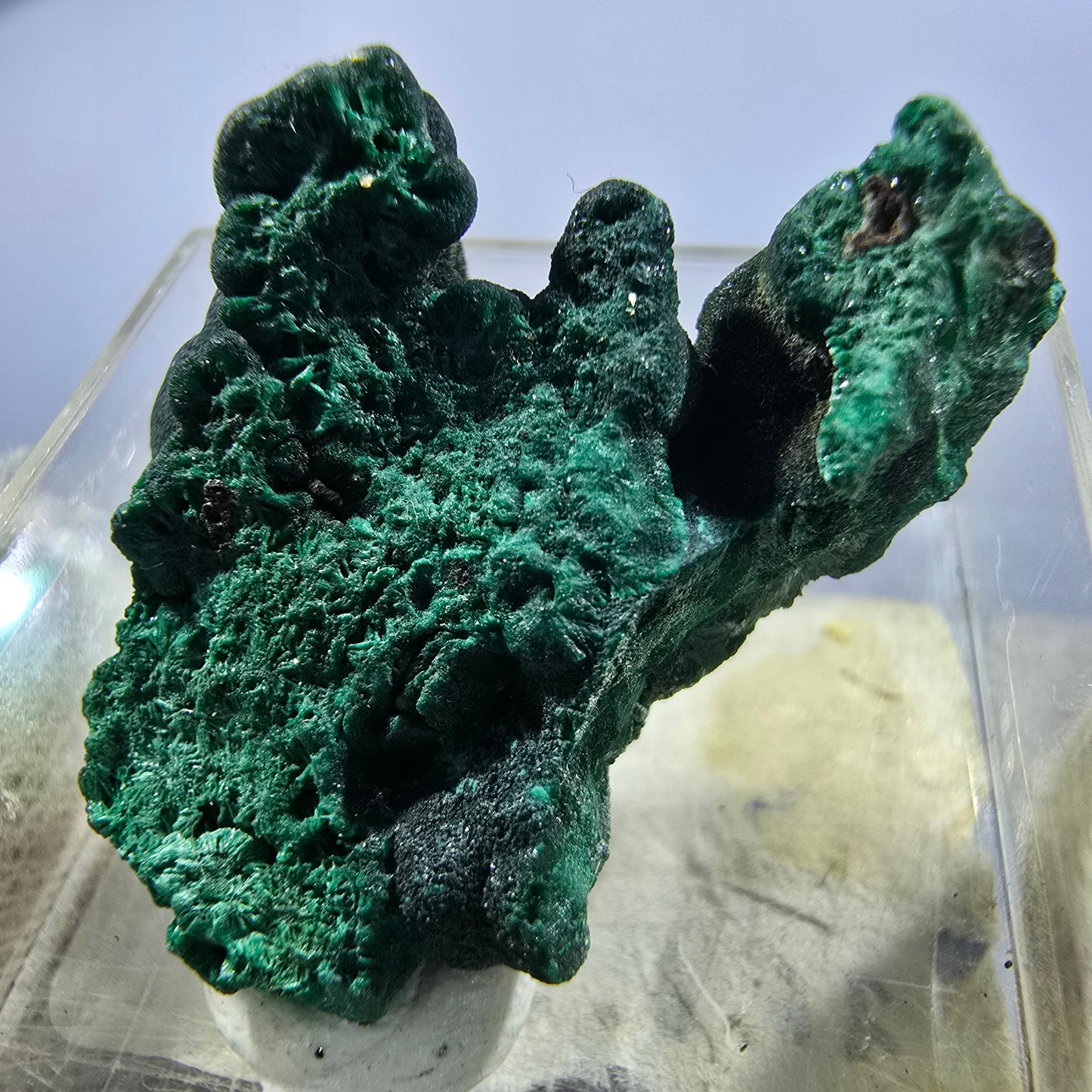 TOP Micromount Mineralien Sammlung Deutschland - 8 Stück Deutschland #8080