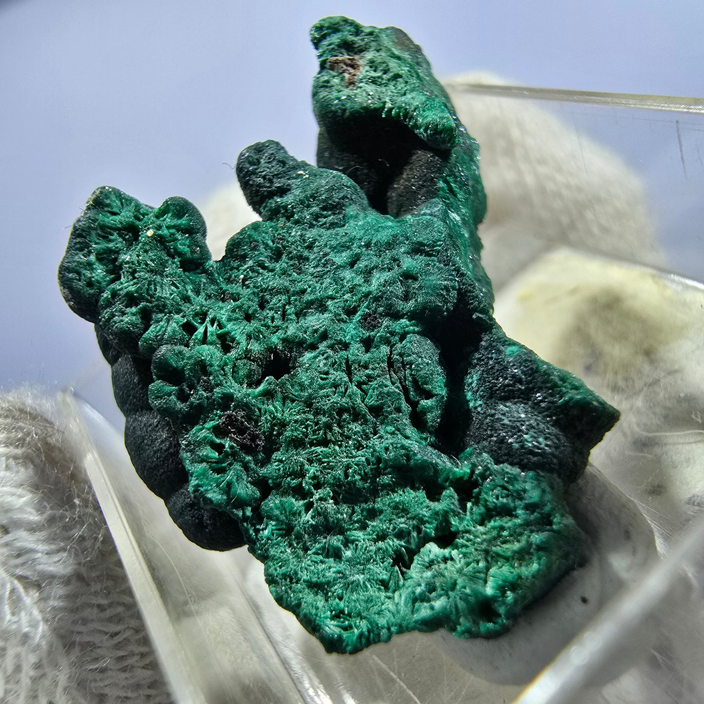 TOP Micromount Mineralien Sammlung Deutschland - 8 Stück Deutschland #8080
