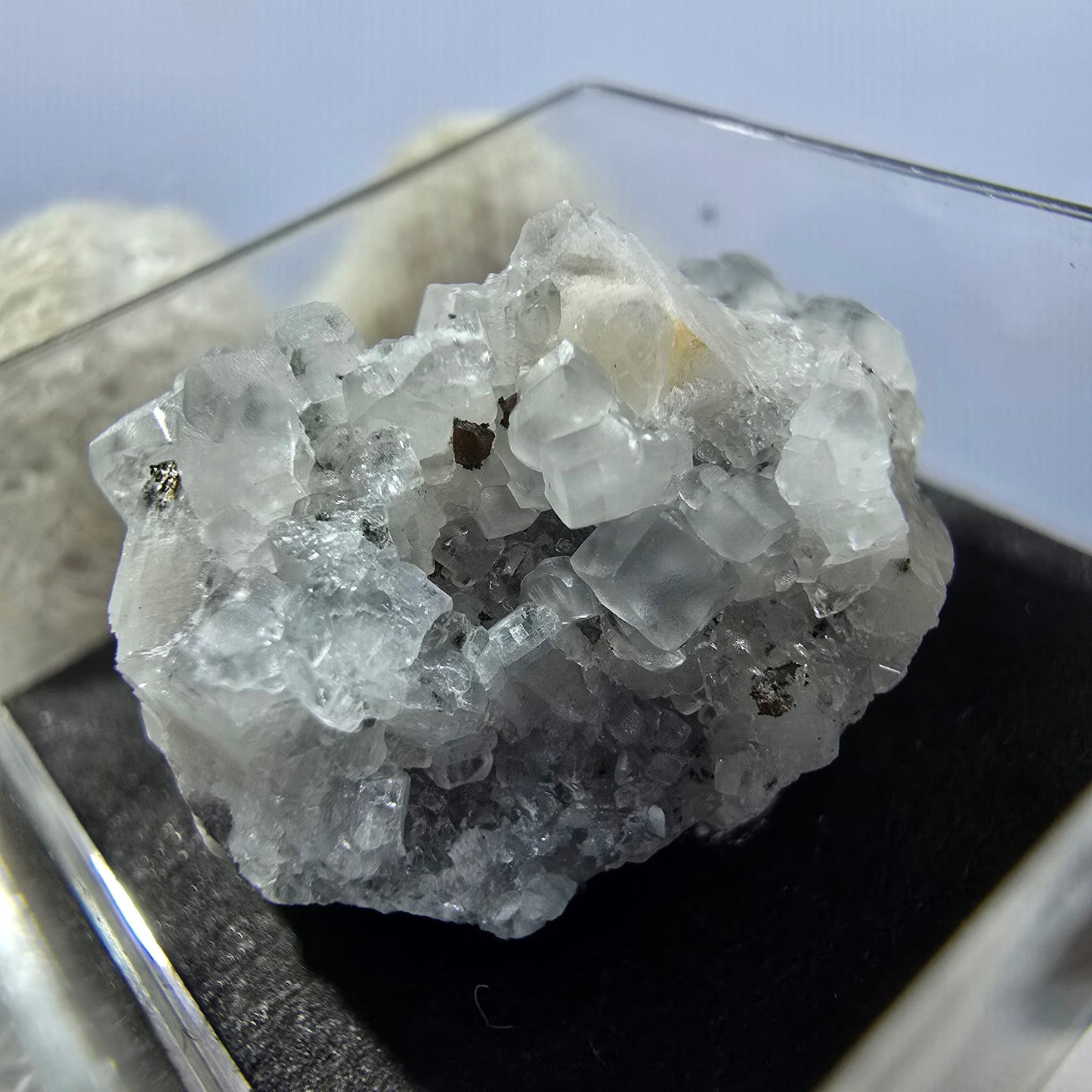 TOP Micromount Mineralien Sammlung Deutschland - 8 Stück Deutschland #8081