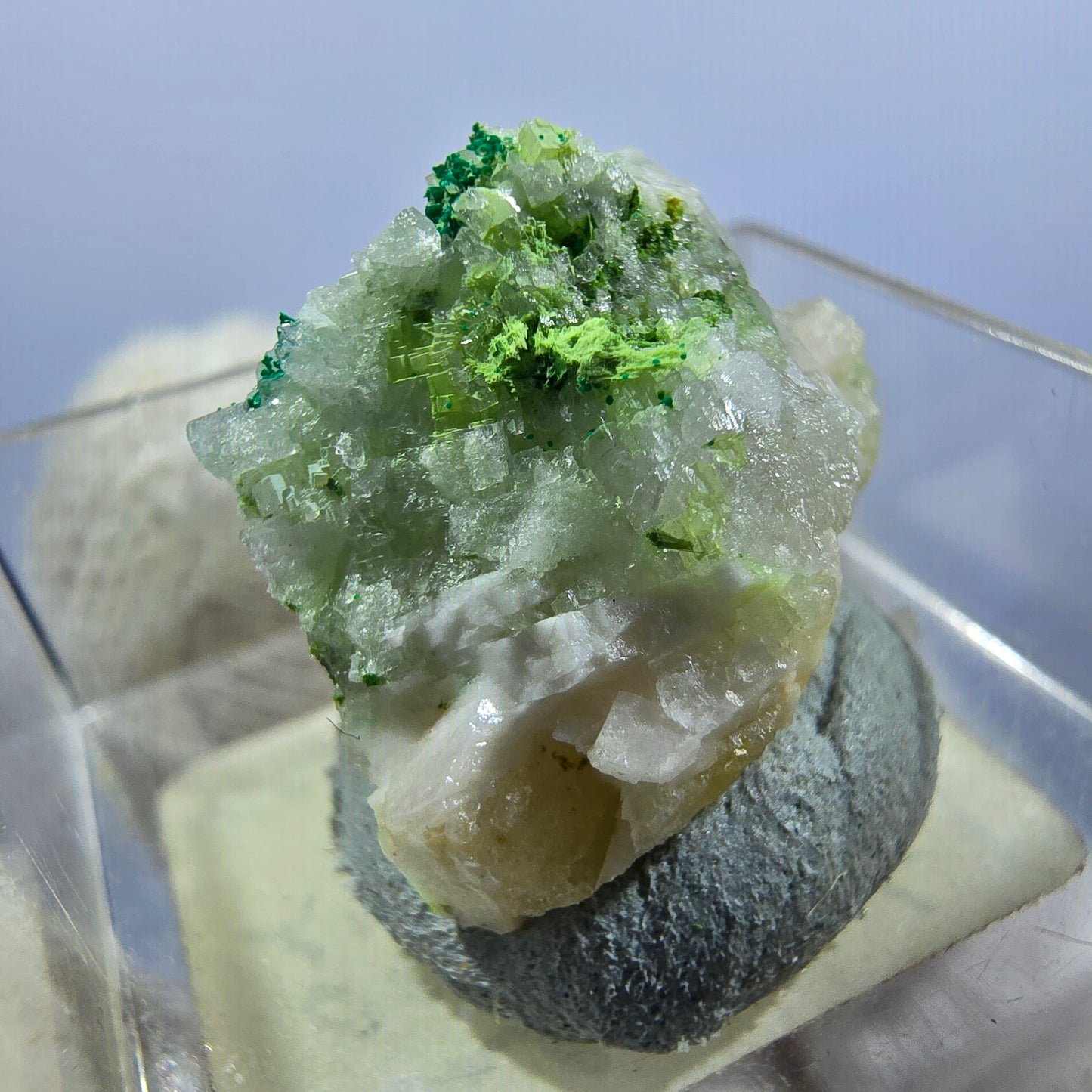 TOP Micromount Mineralien Sammlung Deutschland - 8 Stück Deutschland #8083