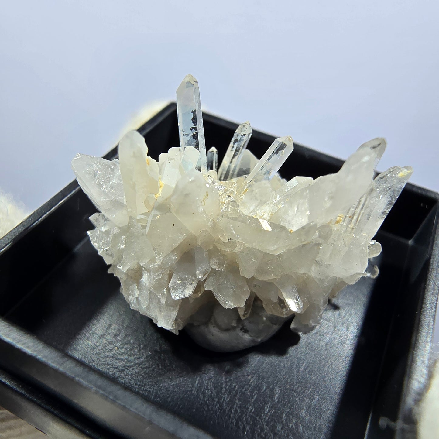 TOP Micromount Mineralien Sammlung Deutschland - 8 Stück Deutschland #8085