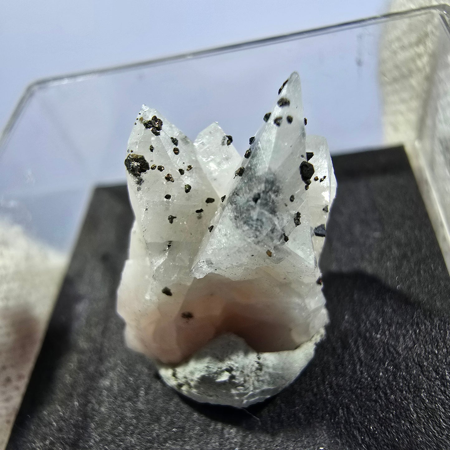 Collection de minéraux Micromount TOP Allemagne - 8 pièces Allemagne #8086