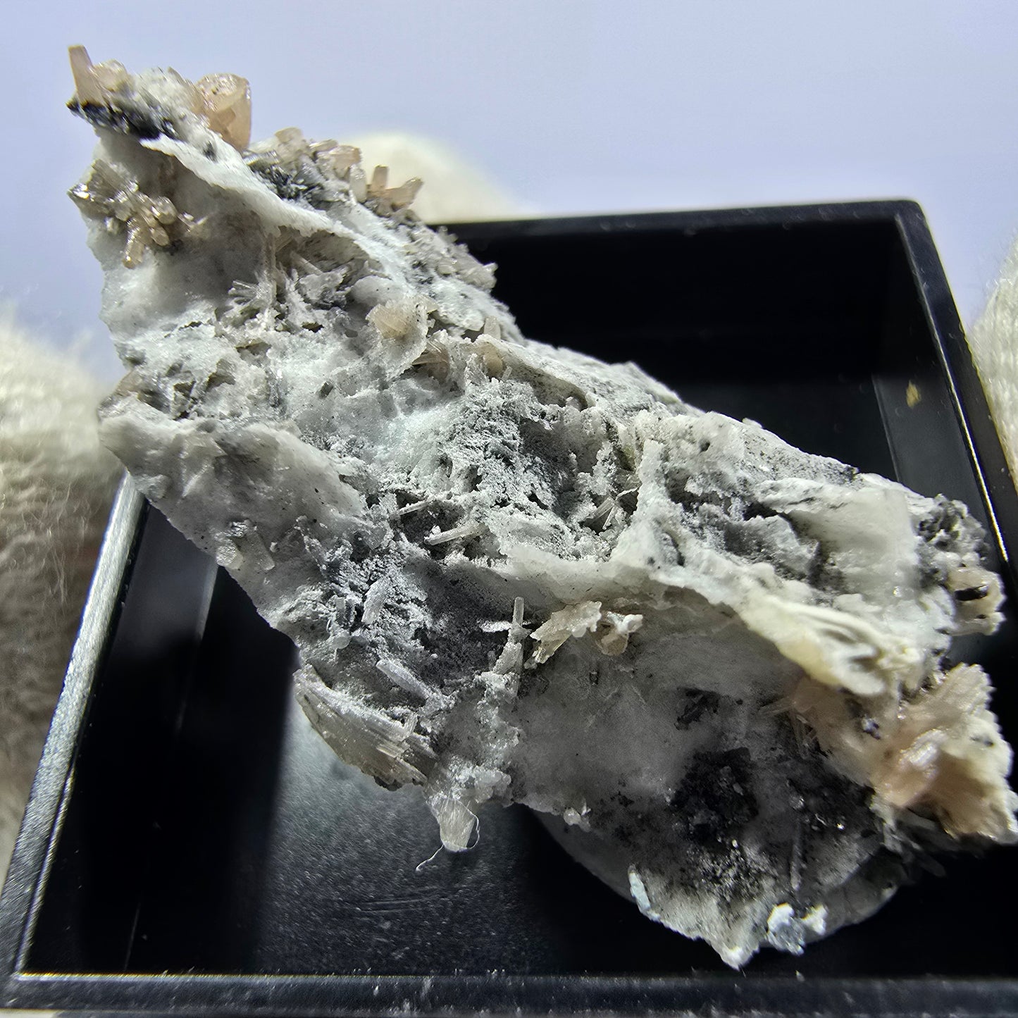 Collection de minéraux Micromount TOP Allemagne - 8 pièces Allemagne #8086