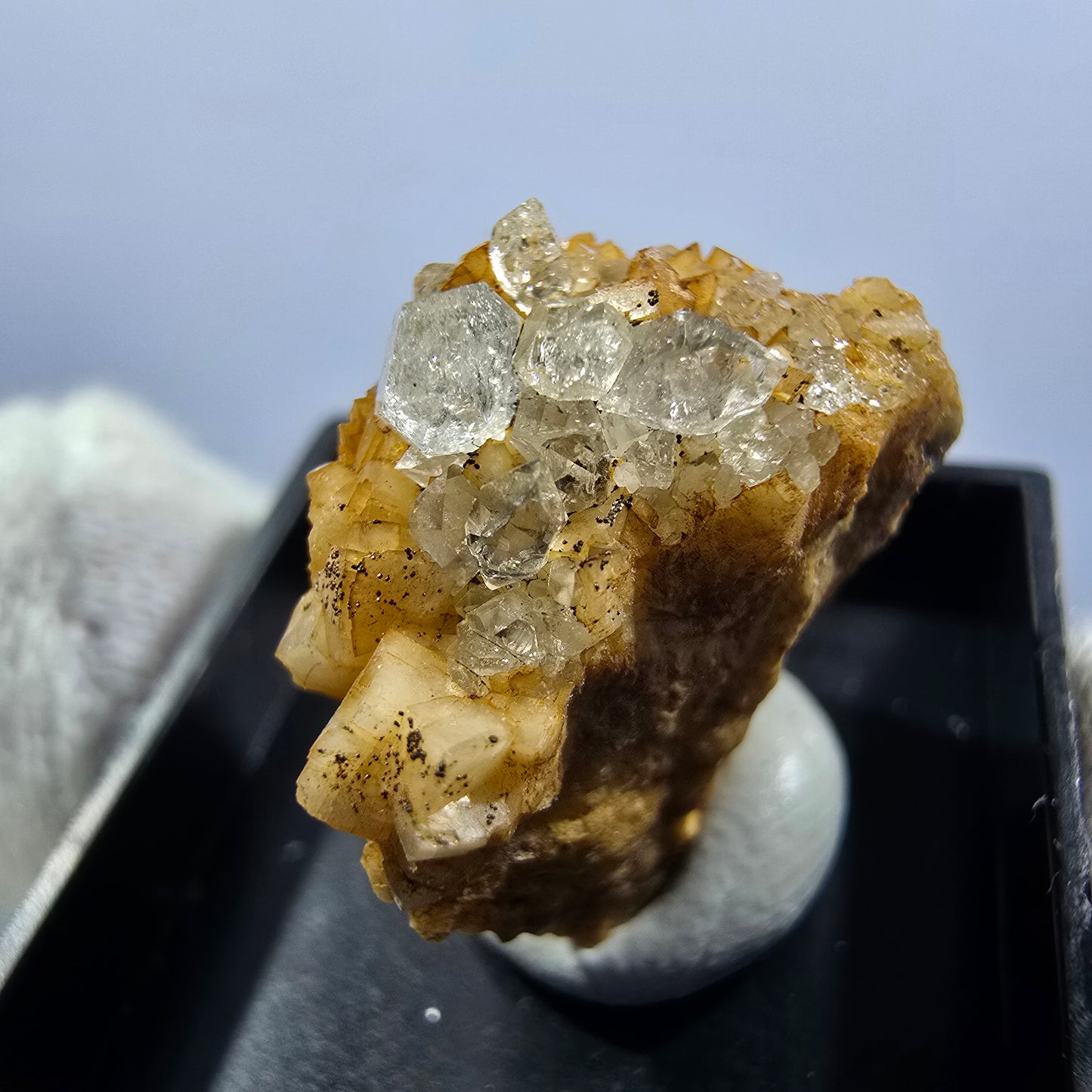 Collection de minéraux Micromount TOP Allemagne - 8 pièces Allemagne #8089