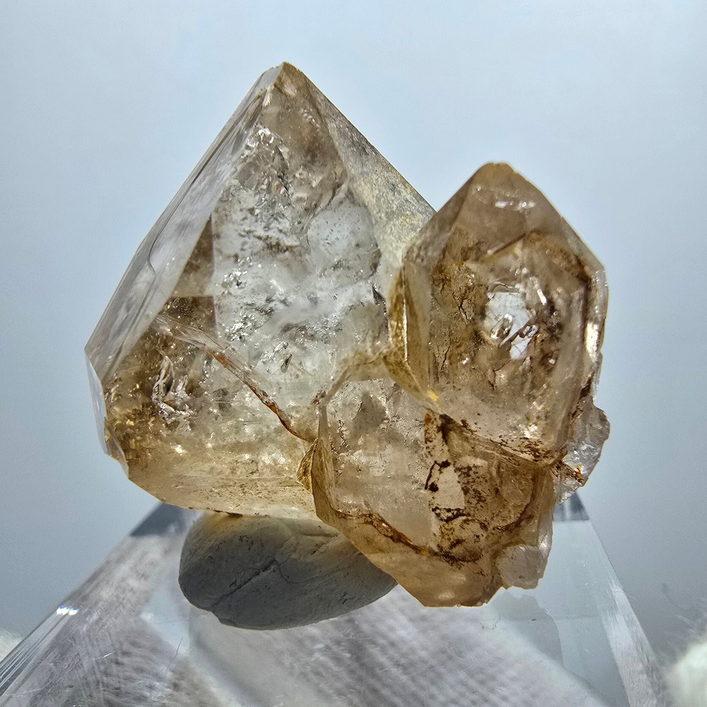 Enhydro Phantom Smoky Quartz Scepter, 1x Bubble Goboboseb, Namibia 25*24*17mm