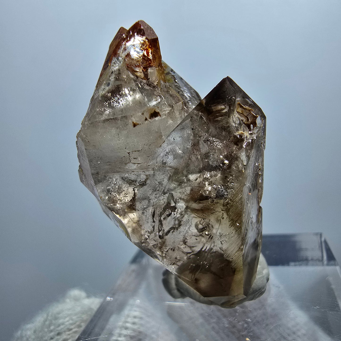 Sceptre Enhydro Phantom Smoky Quartz DT, 1x Bubble Goboboseb, Namibie 32*17*17mm