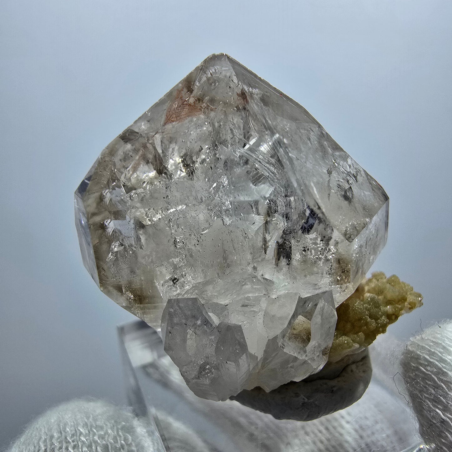 Sceptre en quartz fumé fantôme Enhydro, 1x Bubble Goboboseb, Namibie 33 x 25 x 21 mm