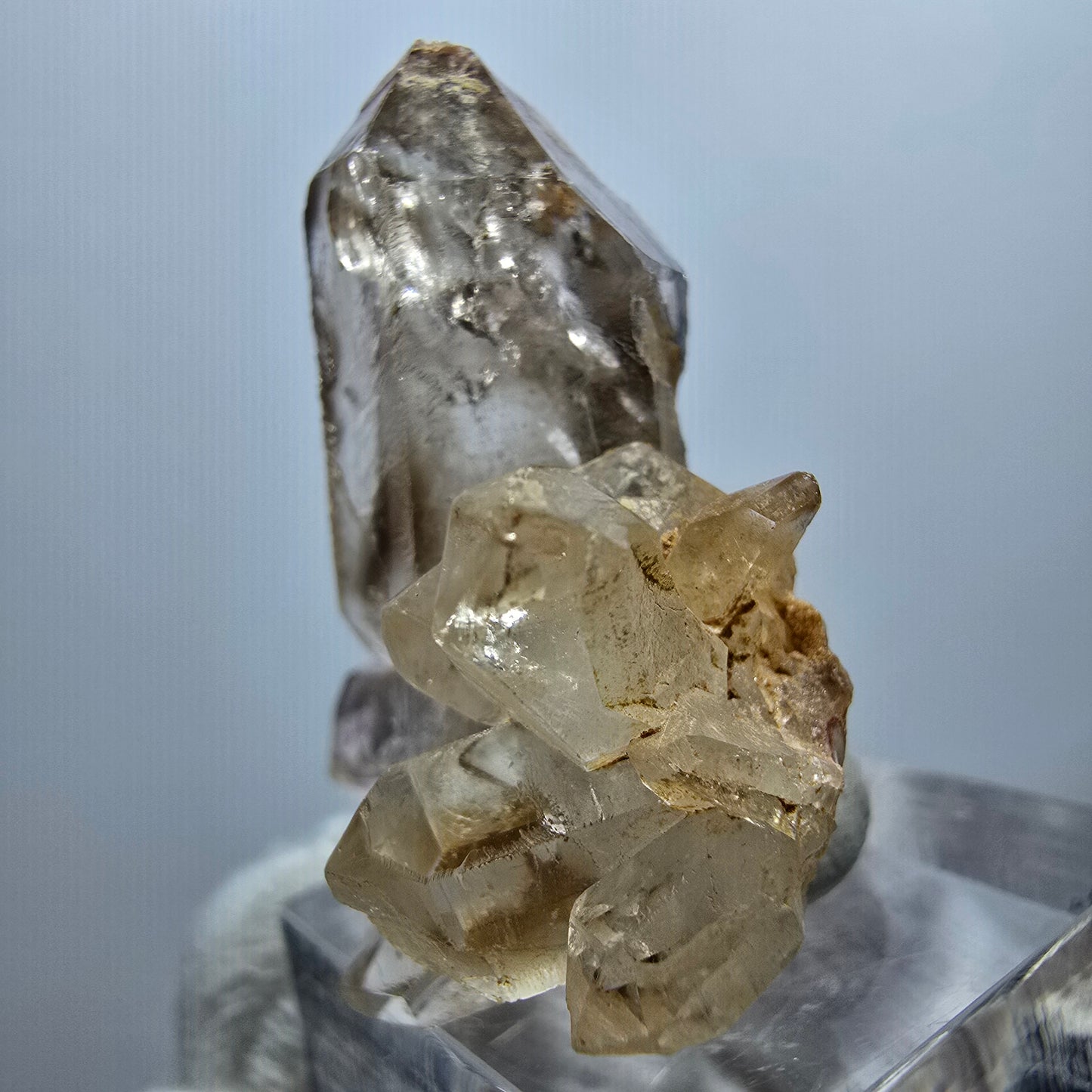 Amas de quartz fumé Harlequin Enhydro, 1x Bubble Goboboseb, Namibie 37 x 34 x 18 mm