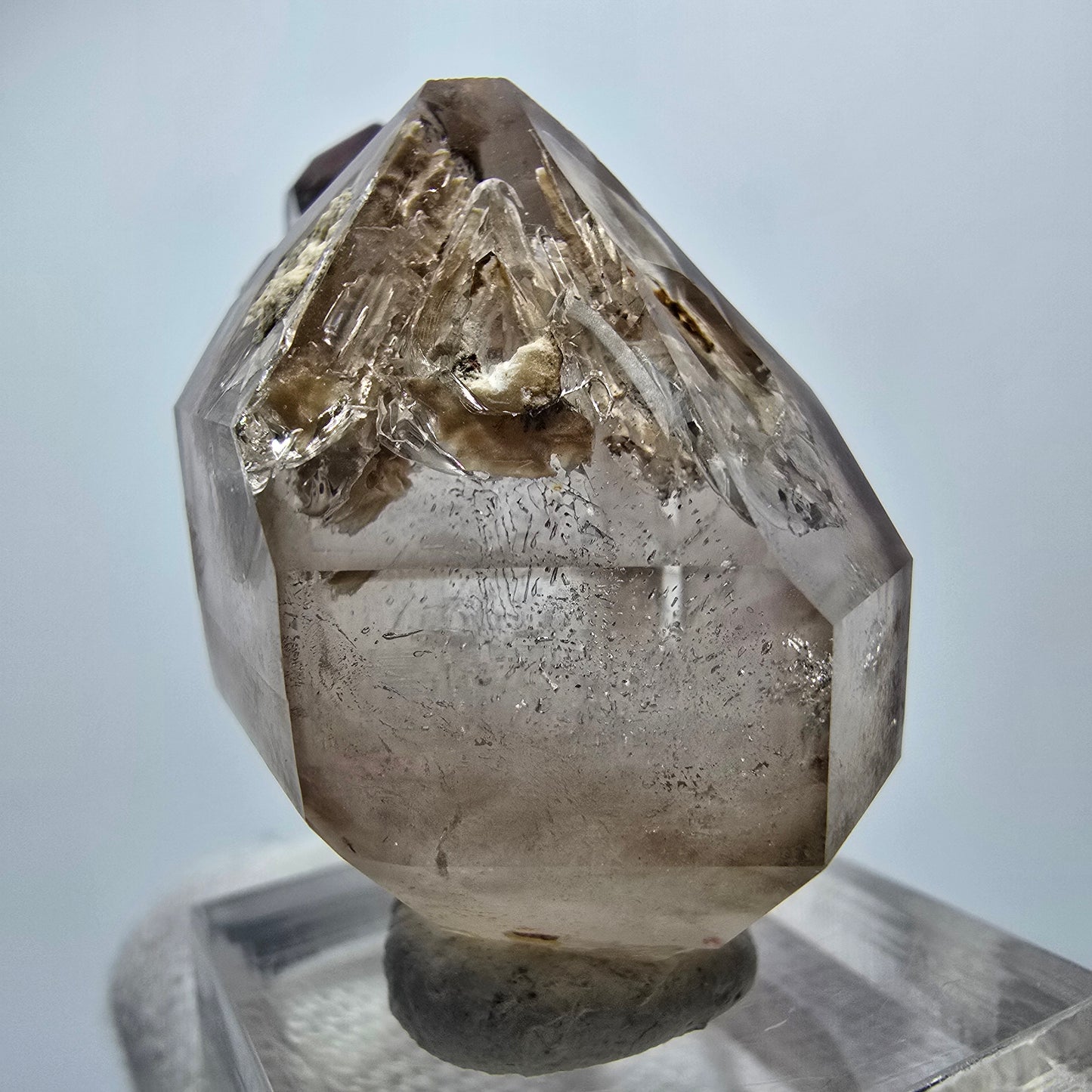 Amas de sceptres en quartz fumé fantôme transparent, Goboboseb, Namibie, 40 x 34 x 23 mm