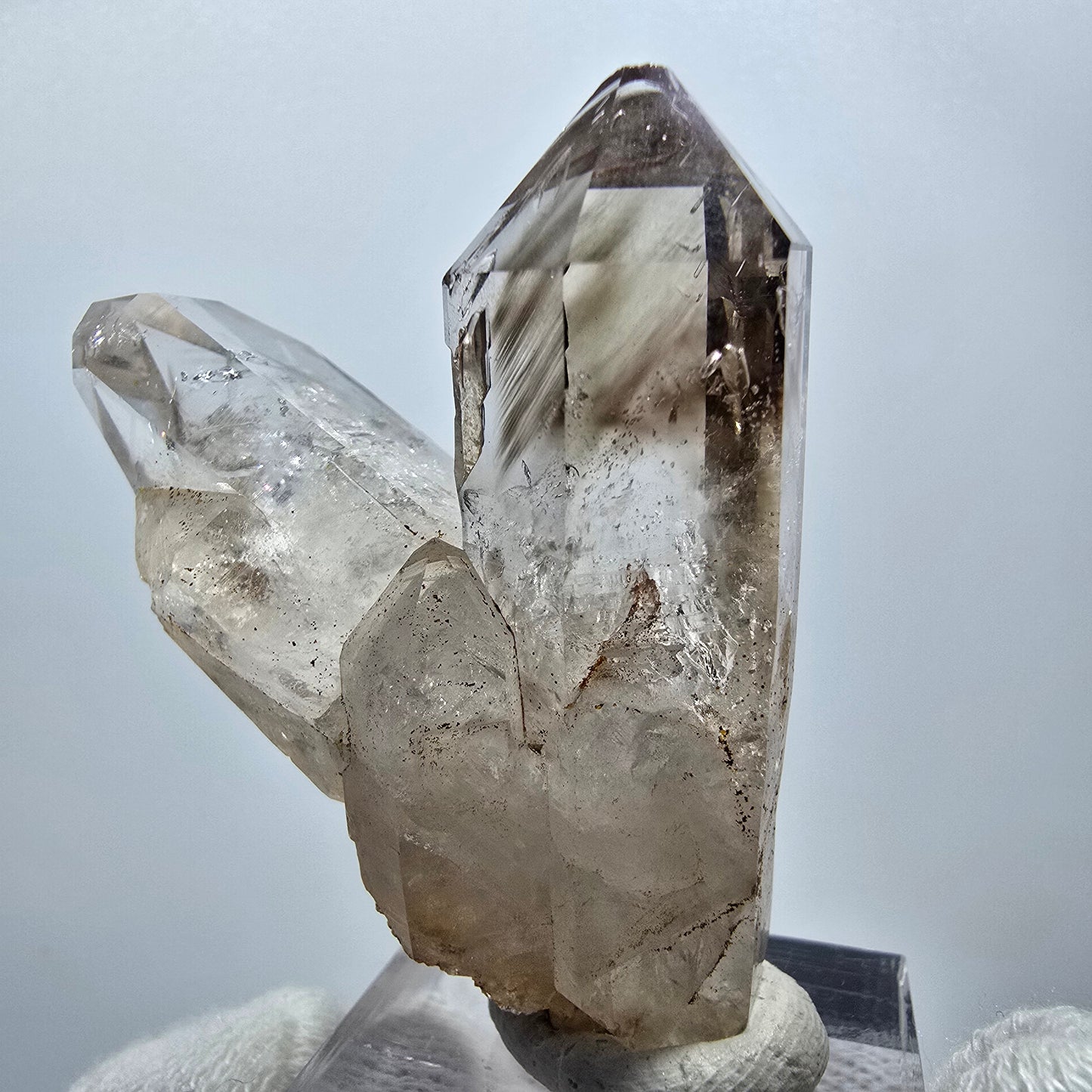 Enhydro Phantom Rauchquarz Zepter Stufe, 1x Blase Goboboseb, Namibia 46*36*19mm