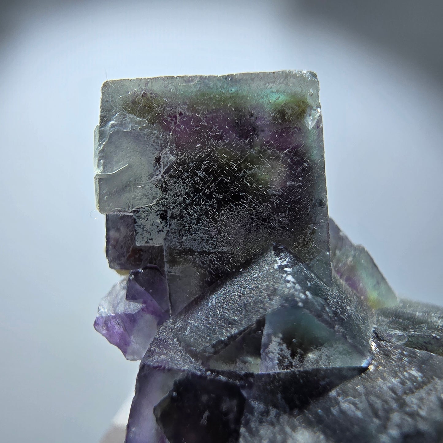 Spécimen de cube de fluorite fantôme coloré, vert violet jaune, Erongo, Namibie 29 x 20 x 14 mm