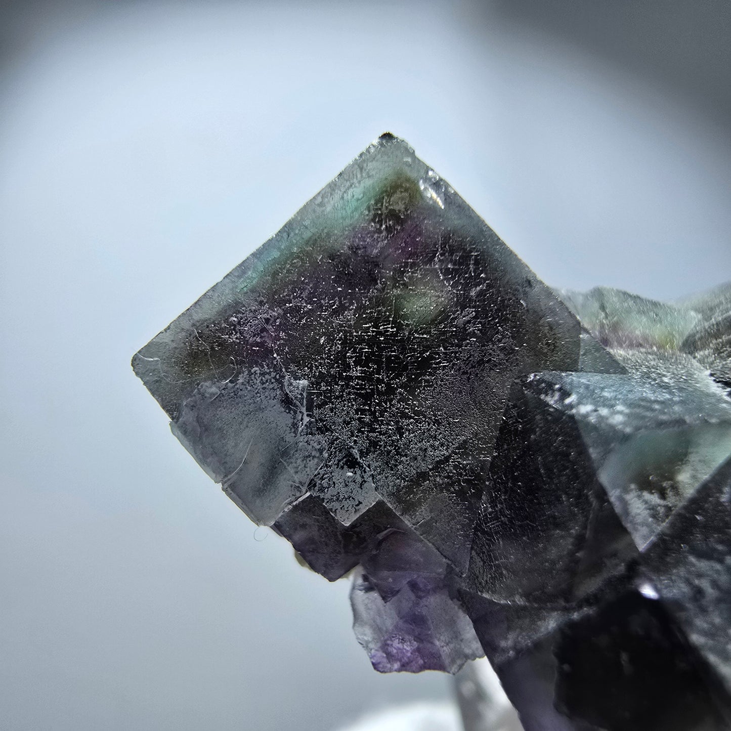 Spécimen de cube de fluorite fantôme coloré, vert violet jaune, Erongo, Namibie 29 x 20 x 14 mm