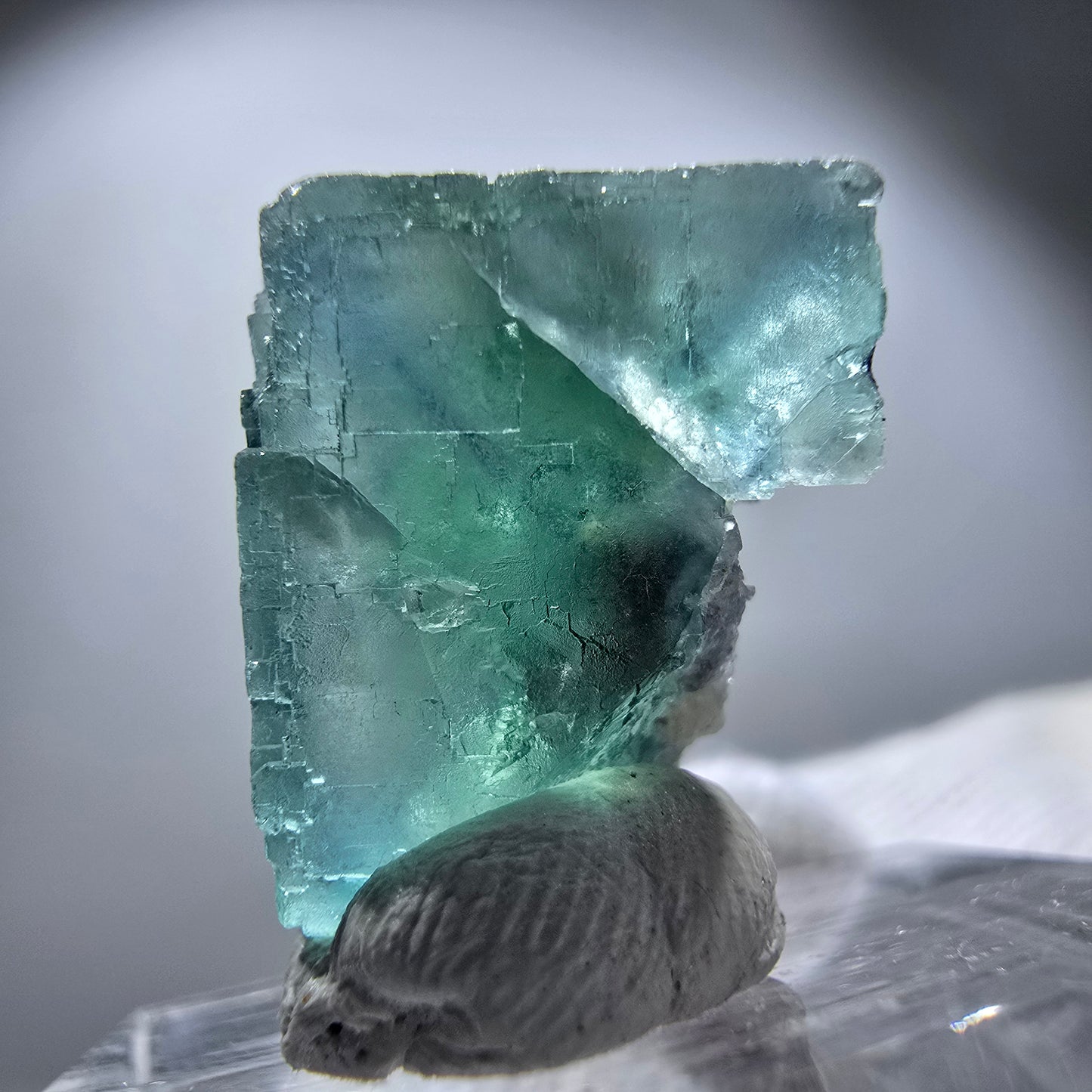 Rare spécimen de cube de fluorite fantôme, vert Okorusu, Namibie 24 x 23 x 17 mm