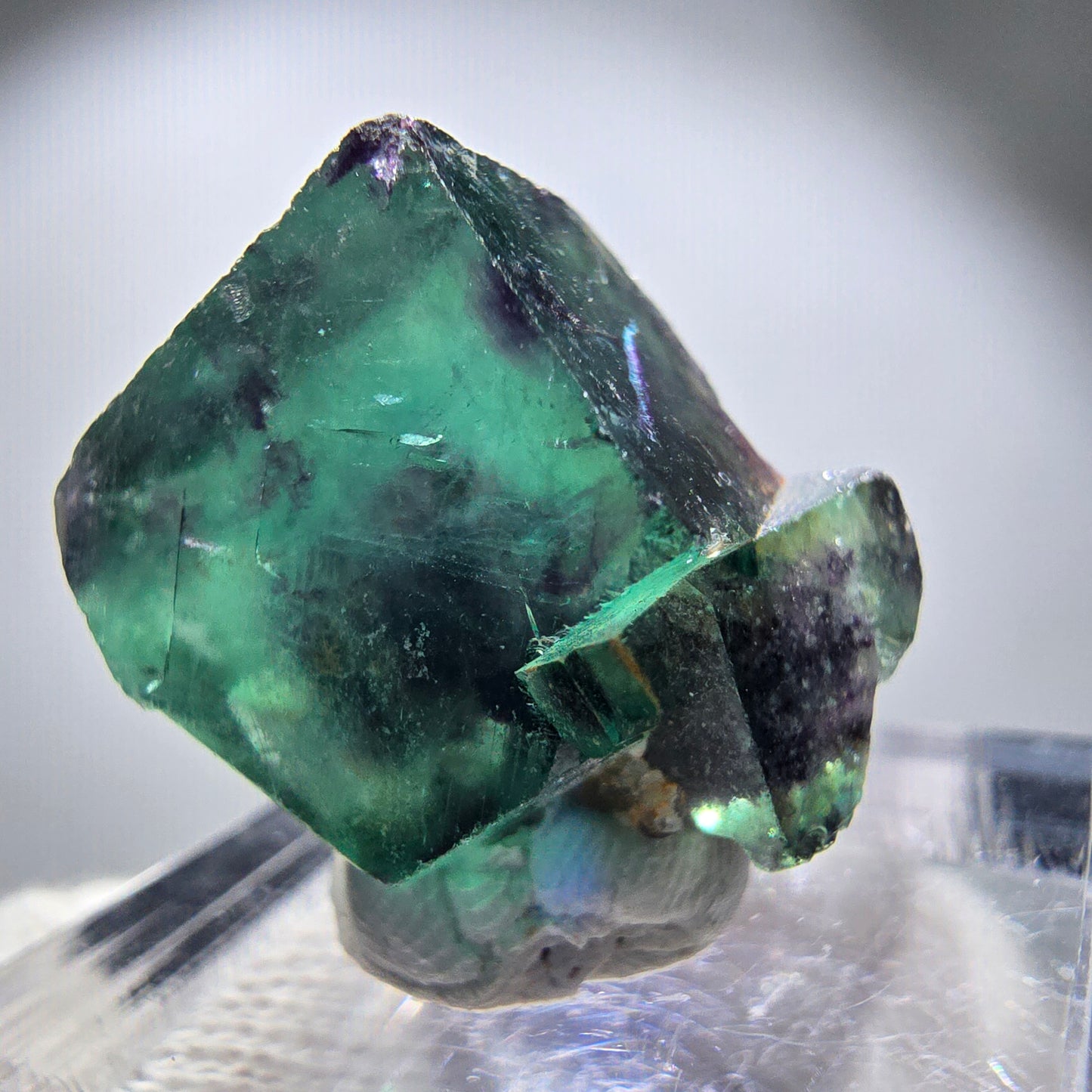 Spécimen rare de cube de fluorite fantôme, vert zonal et violet, Okorusu, Namibie, 22 x 19 x 14 mm