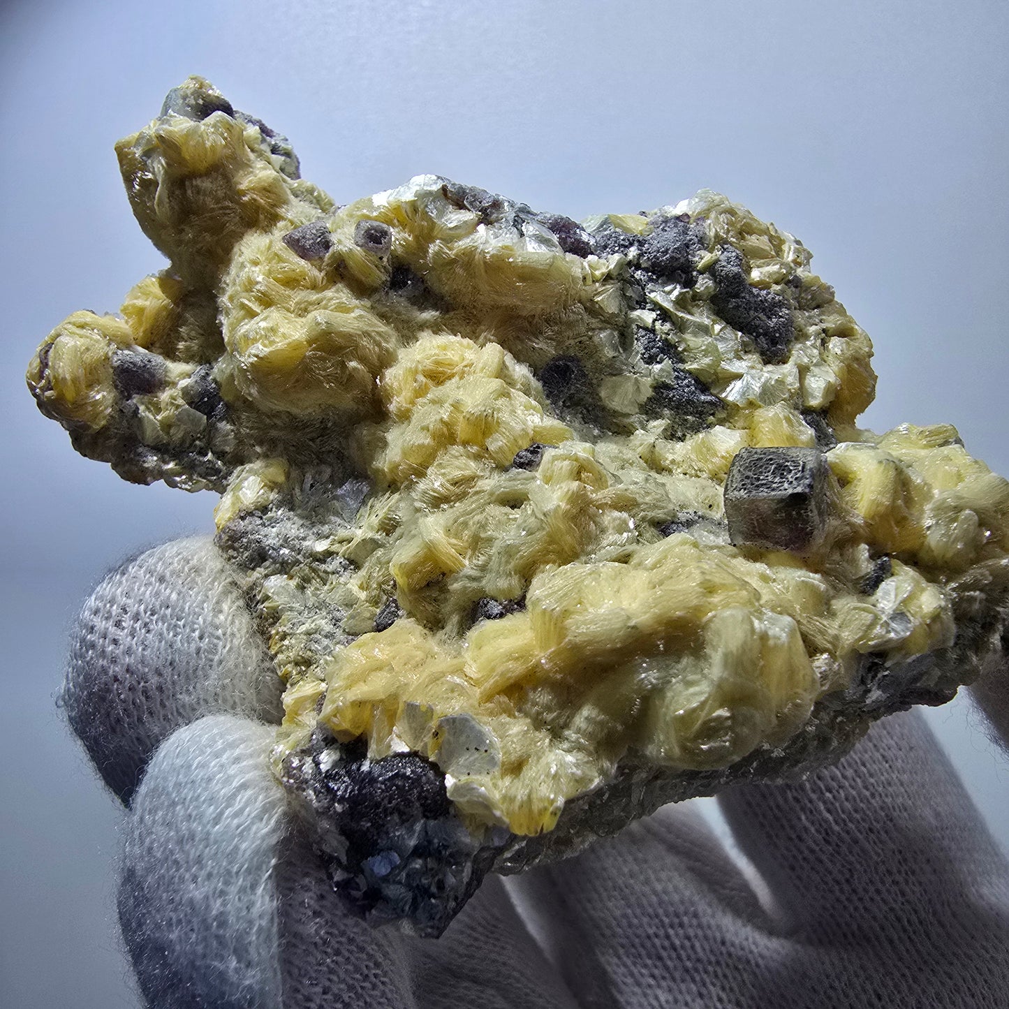 Cubes de fluorite fantôme colorés, spécimen de muscovite, Erongo, Namibie, 79 x 62 x 25 mm
