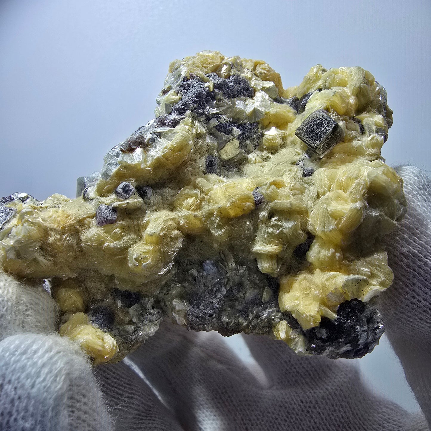 Cubes de fluorite fantôme colorés, spécimen de muscovite, Erongo, Namibie, 79 x 62 x 25 mm