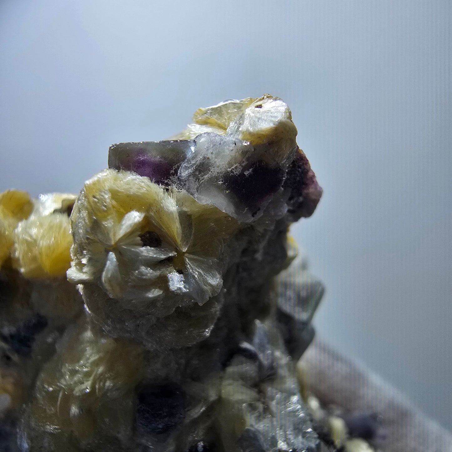 Cubes de fluorite fantôme colorés, spécimen de muscovite, Erongo, Namibie, 79 x 62 x 25 mm