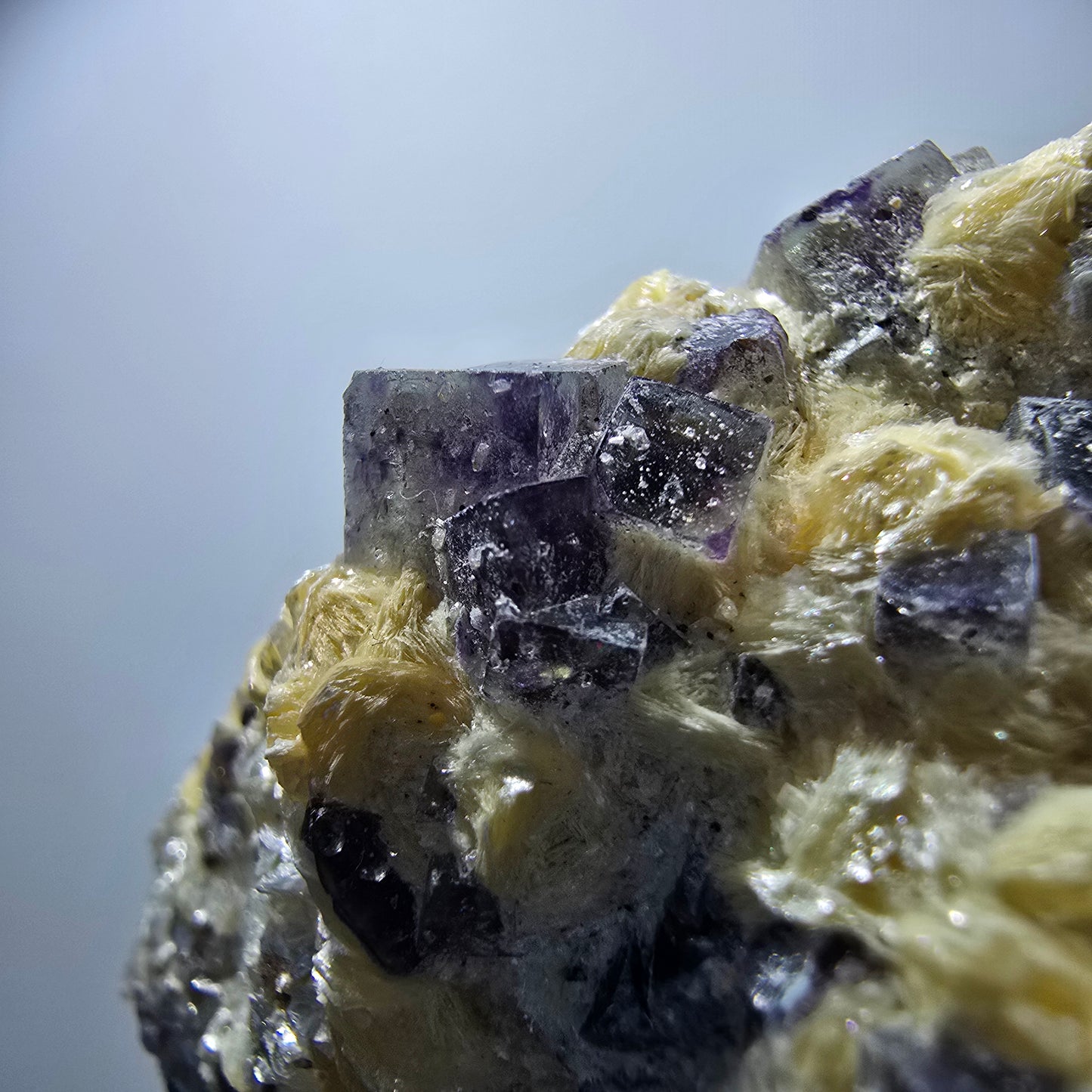 Cubes de fluorite fantôme colorés, spécimen de muscovite, Erongo, Namibie, 71 x 56 x 35 mm