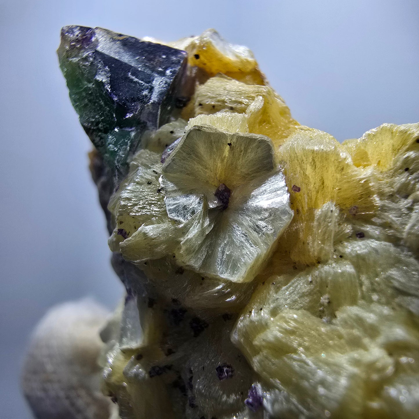 Fluorite fantôme, quartz fumé, tourmaline Schörl, hyalite, muscovite Erongo, Namibie 62*43*31mm