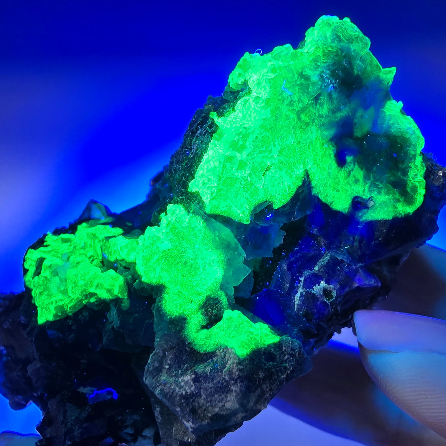 Fluorite fantôme colorée, hyalite, tourmaline schol, muscovite, Erongo, Namibie, 80 x 46 x 60 mm