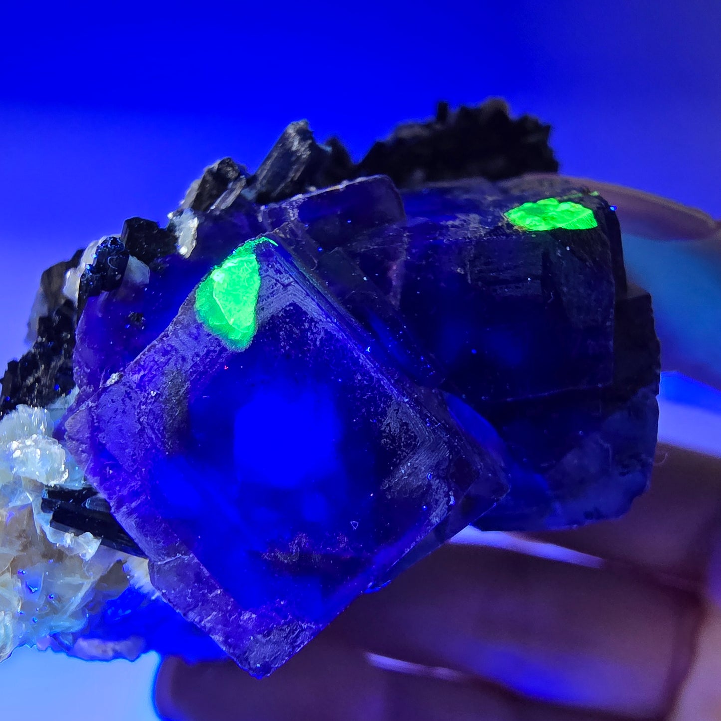 Fluorite fantôme colorée, tourmaline schol, hyalite, quartz fumé, muscovite, Erongo, Namibie, 78 x 70 x 48 mm