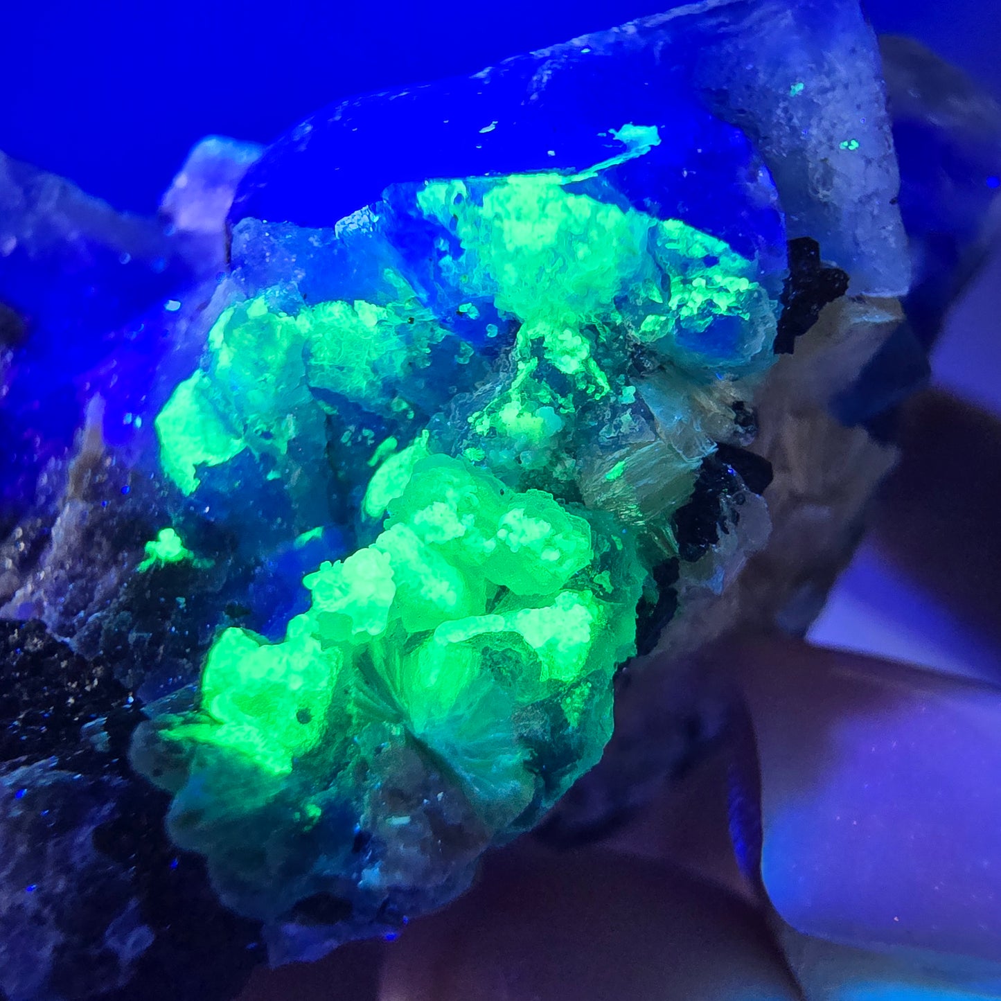Fluorite fantôme, muscovite, hyalite, tourmaline Schörl, Erongo, Namibie, 49 x 38 x 30 mm