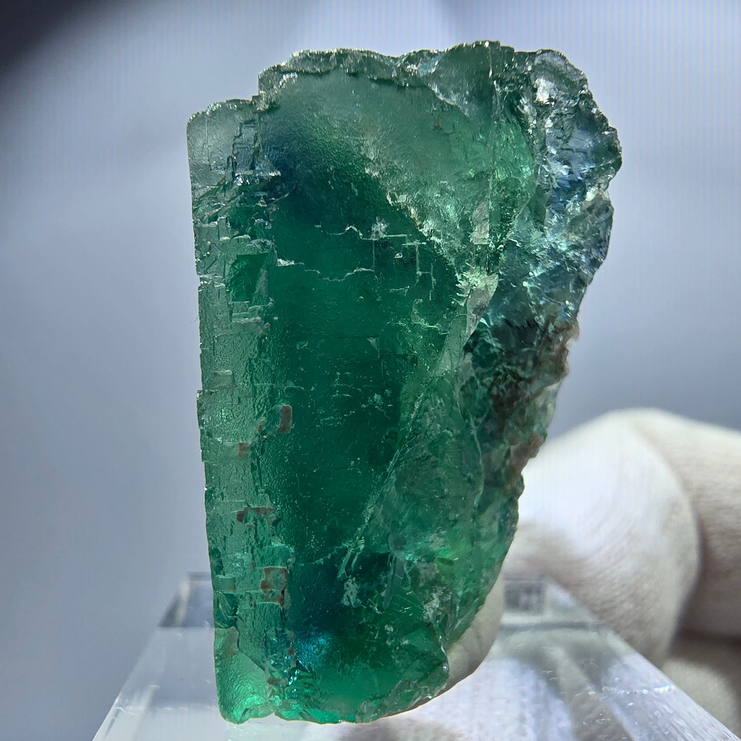 Cube de fluorite fantôme, vert turquoise parqueté, Okorusu, Namibie, 32 x 30 x 20 mm