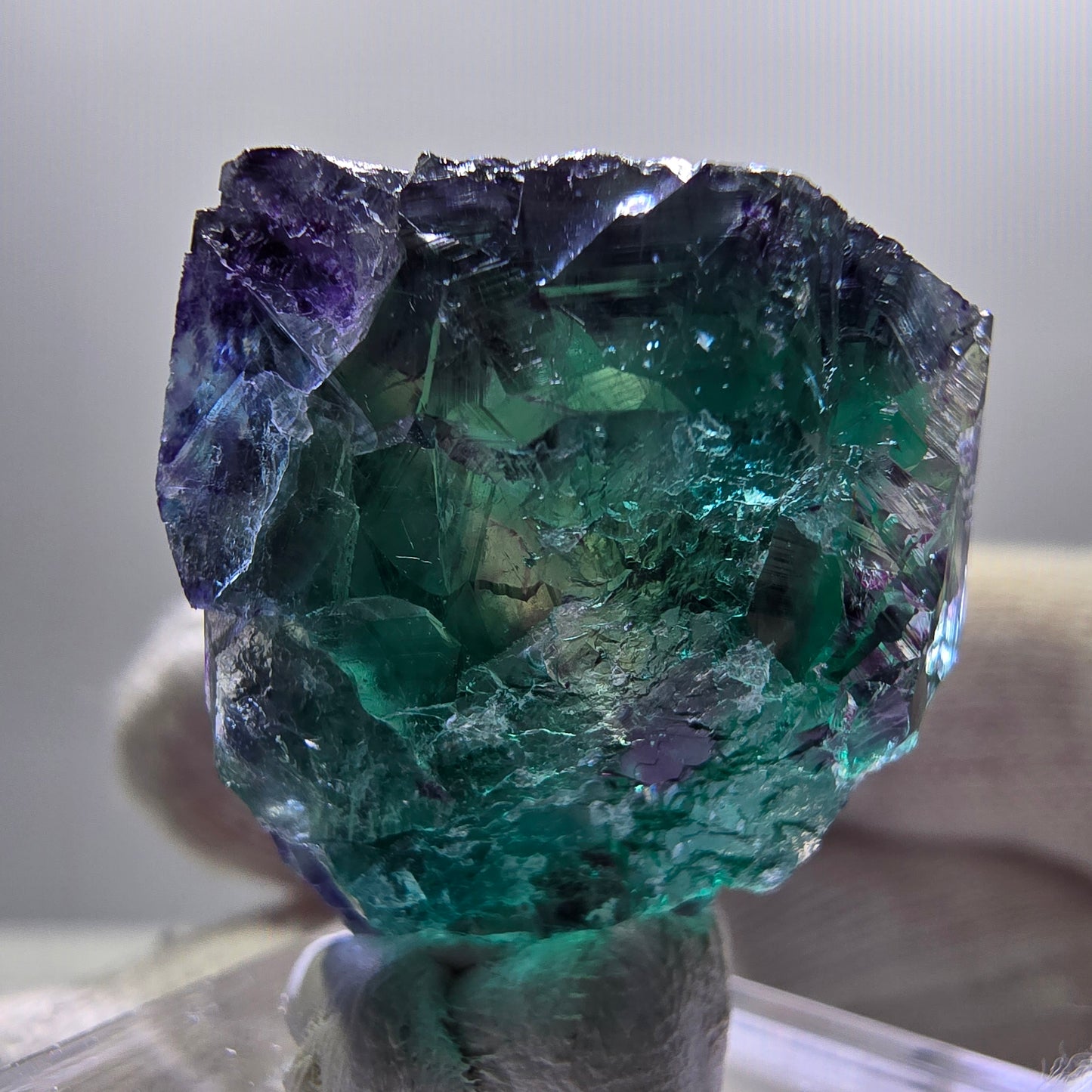 Rare cube de fluorite fantôme, vert violet zonal Okorusu, Namibie 30*24*18mm