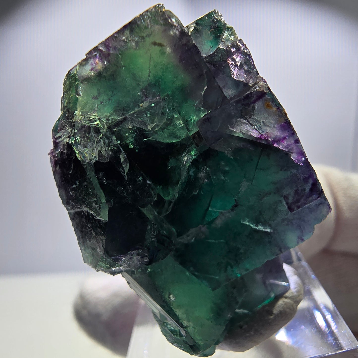 Spécimen rare de cube de fluorite fantôme, vert zonal et violet, Okorusu, Namibie, 45 x 43 x 25 mm