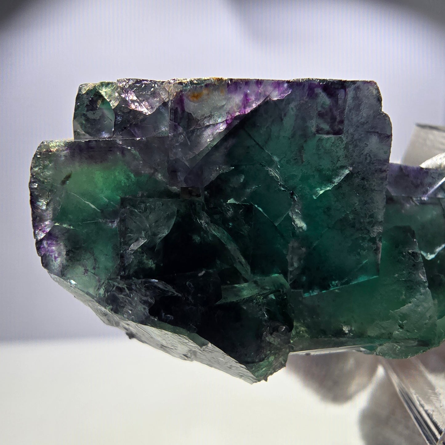 Spécimen rare de cube de fluorite fantôme, vert zonal et violet, Okorusu, Namibie, 45 x 43 x 25 mm