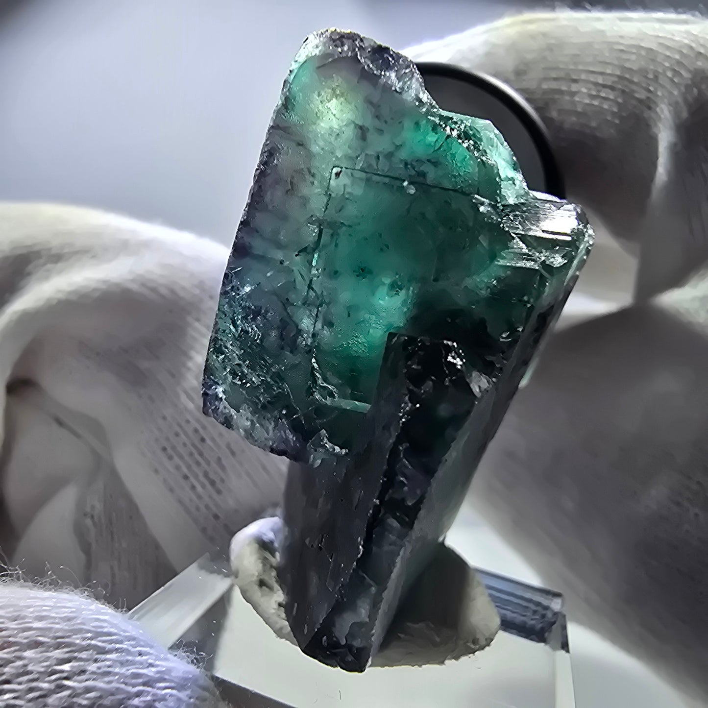 Spécimen rare de cube de fluorite fantôme, vert zonal et violet, Okorusu, Namibie, 45 x 43 x 25 mm