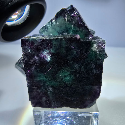 Spécimen rare de cube de fluorite fantôme, vert zonal et violet, Okorusu, Namibie, 50 x 43 x 31 mm
